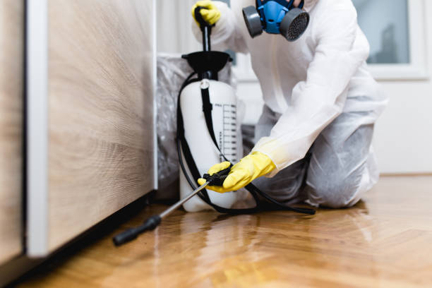 Best Cockroach Control Services  in Darnestown, MD