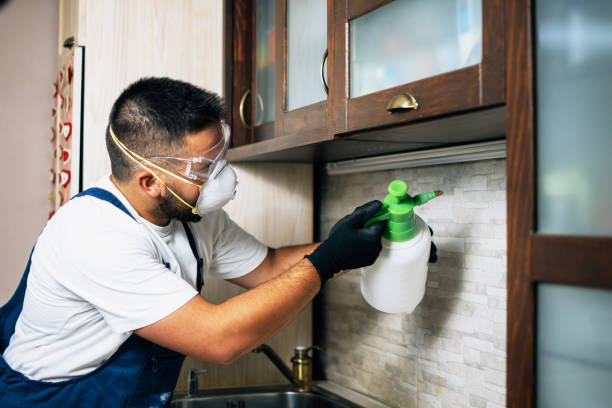 Best Wildlife Control Services  in Darnestown, MD