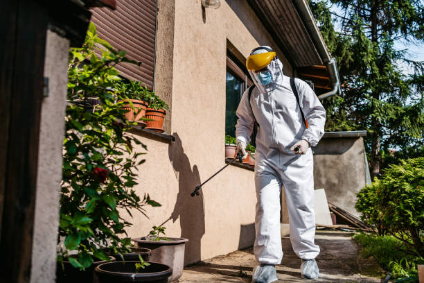 Best Emergency Pest Control  in Darnestown, MD
