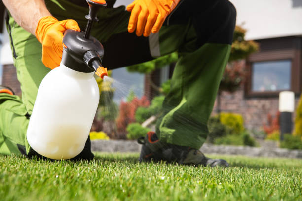 Best Insect Control  in Darnestown, MD