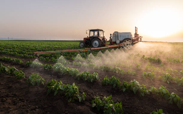 Reliable Darnestown, MD Pest Control Solutions