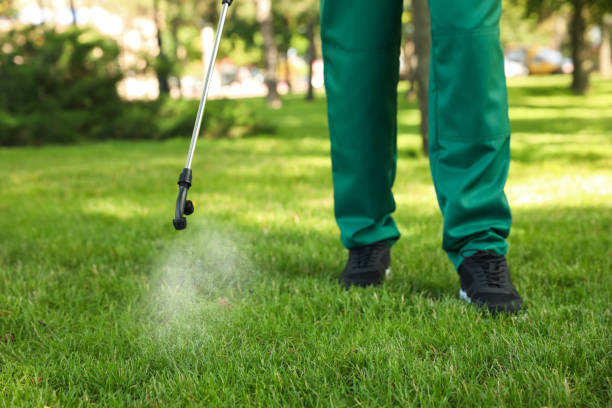 Reliable Darnestown, MD Pest Control Solutions