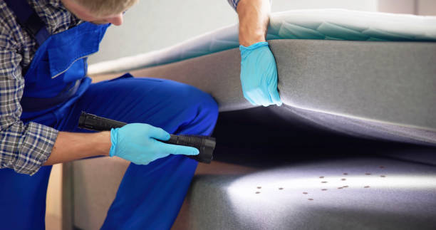 Best Residential Pest Control  in Darnestown, MD