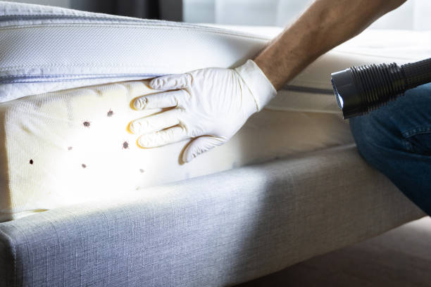 Best Pest Control Cost  in Darnestown, MD