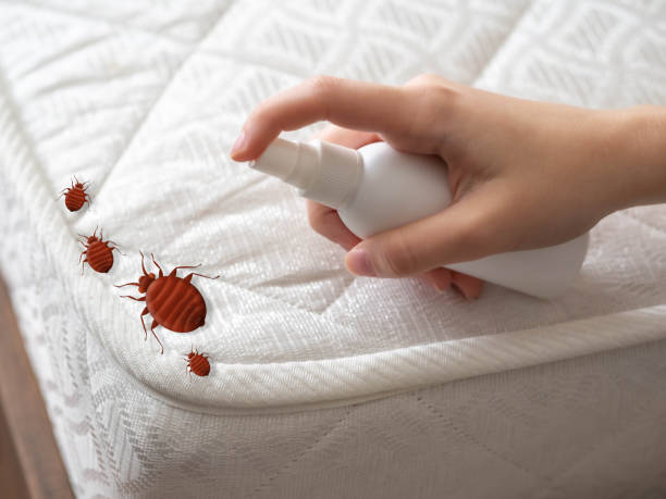 Best Mosquito Control Services  in Darnestown, MD