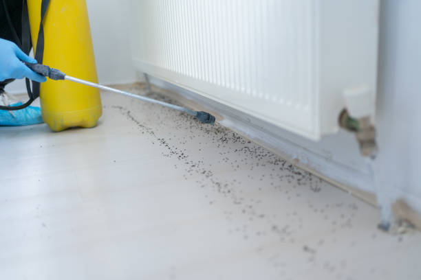 Best Emergency Pest Control  in Darnestown, MD