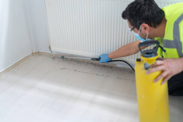 Best Commercial Pest Control Services  in Darnestown, MD