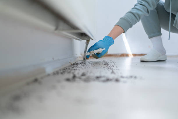 Best Pest Inspection Near Me  in Darnestown, MD