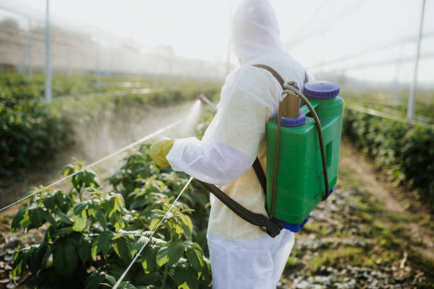  Darnestown, MD Pest Control Pros